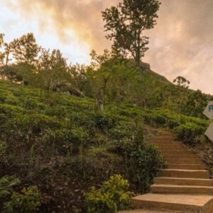 Little Adam’s Peak In Ella