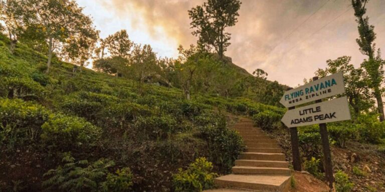 Little Adam’s Peak In Ella