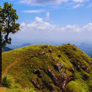 Little Adam’s Peak In Ella