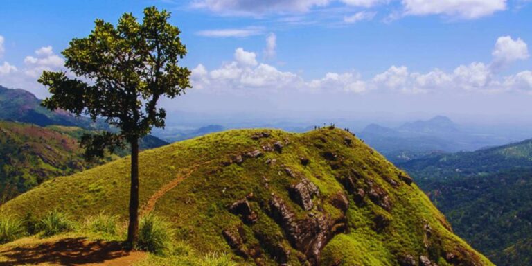 Little Adam’s Peak In Ella