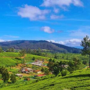 Nuwara Eliya