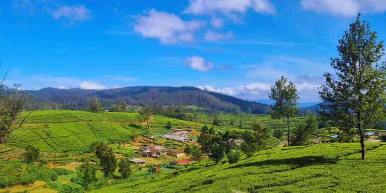 Nuwara Eliya